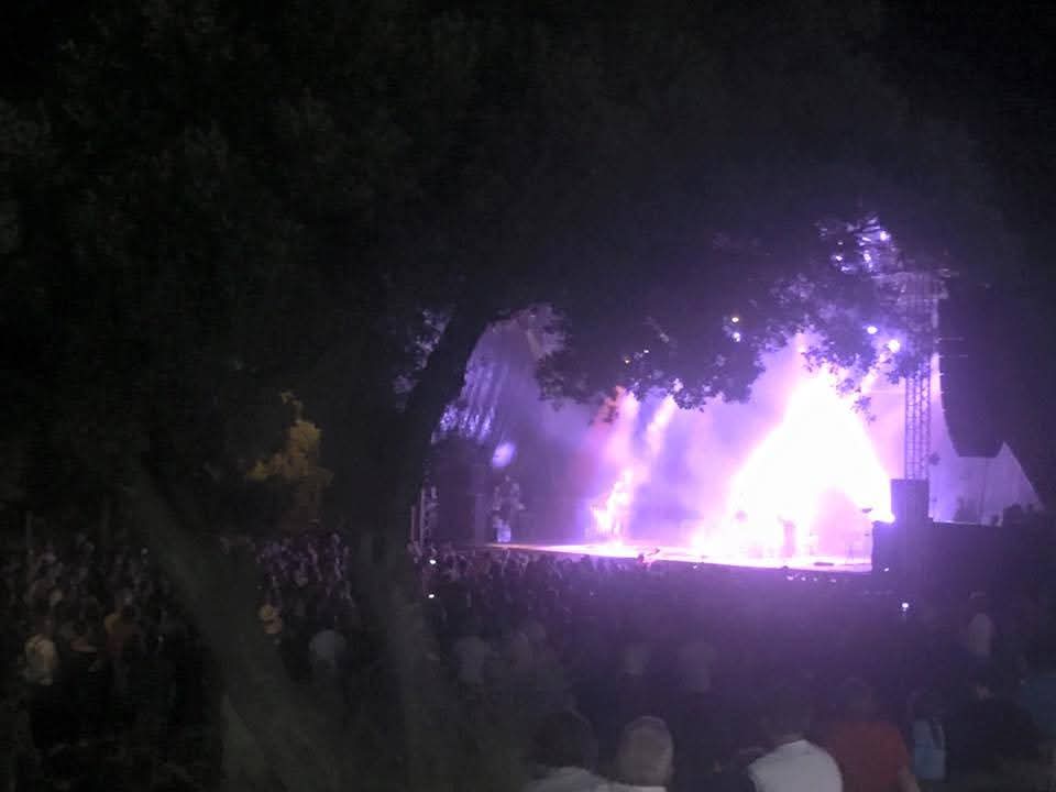 Artiste du festival Les Rocktambules 25